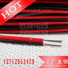 東莞市勝牌電線電纜黑茶系列產品清單與選購指南